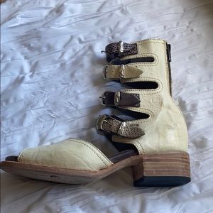 Freebird by Steven Sandles